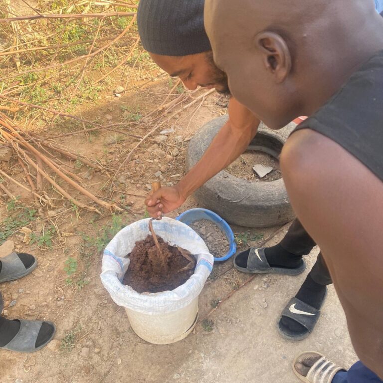 Farm team preparing soil input