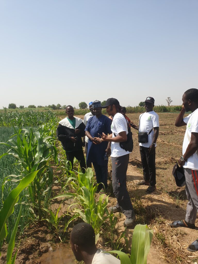 Sabi Farm team visit to crop field