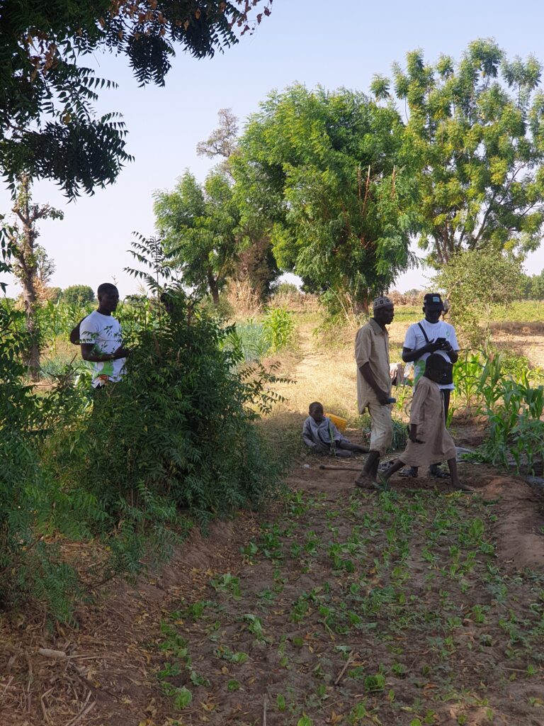 Farmers discussing progress in the field